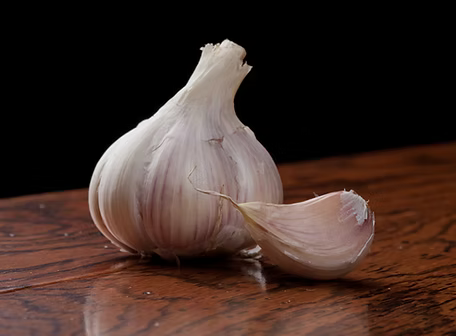 Music garlic bulb and clove — the most popular hardneck variety