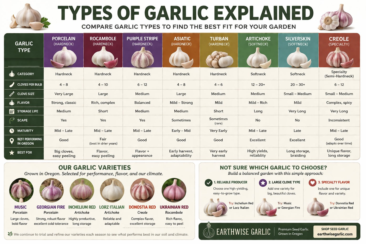 Hardneck vs softneck garlic comparison guide