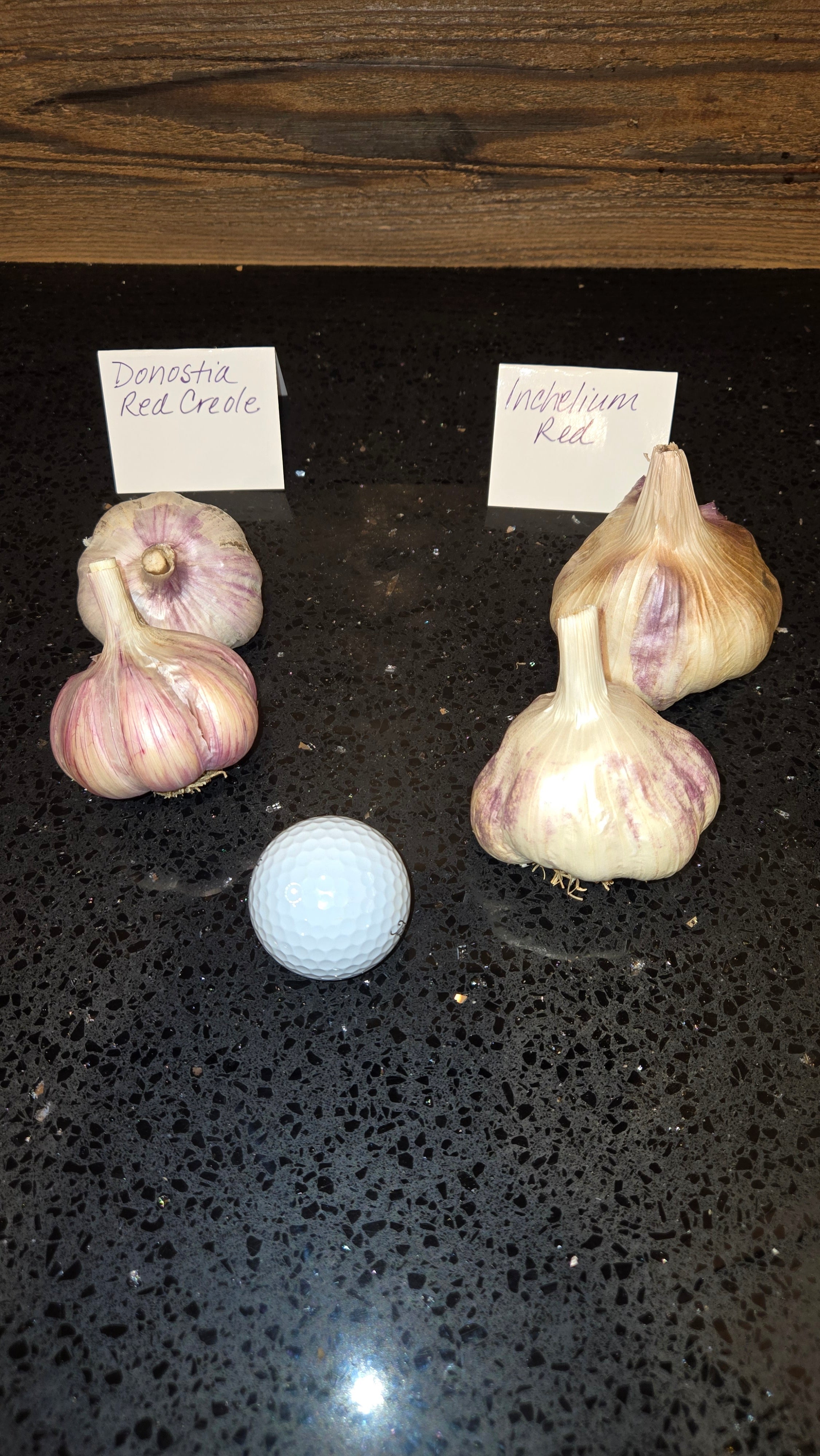 Inchelium Red Garlic: The Softneck That Defies the Rules