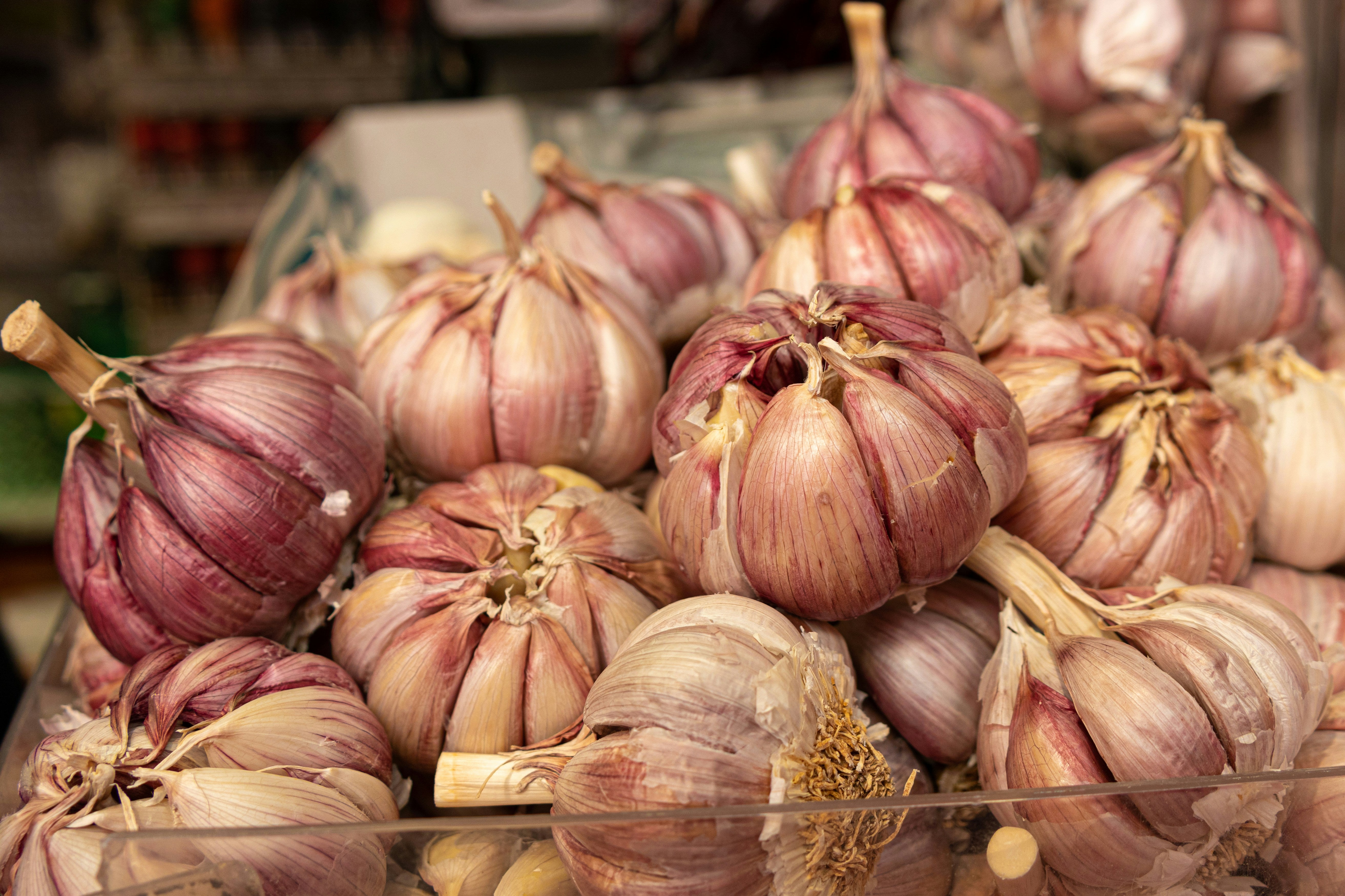 Purple and white hardneck garlic bulbs at a market — how to buy quality seed garlic