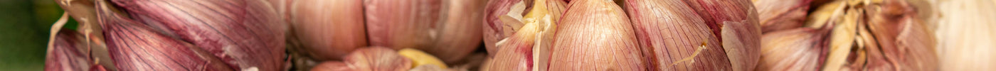 Purple and white hardneck garlic bulbs at a market — how to buy quality seed garlic