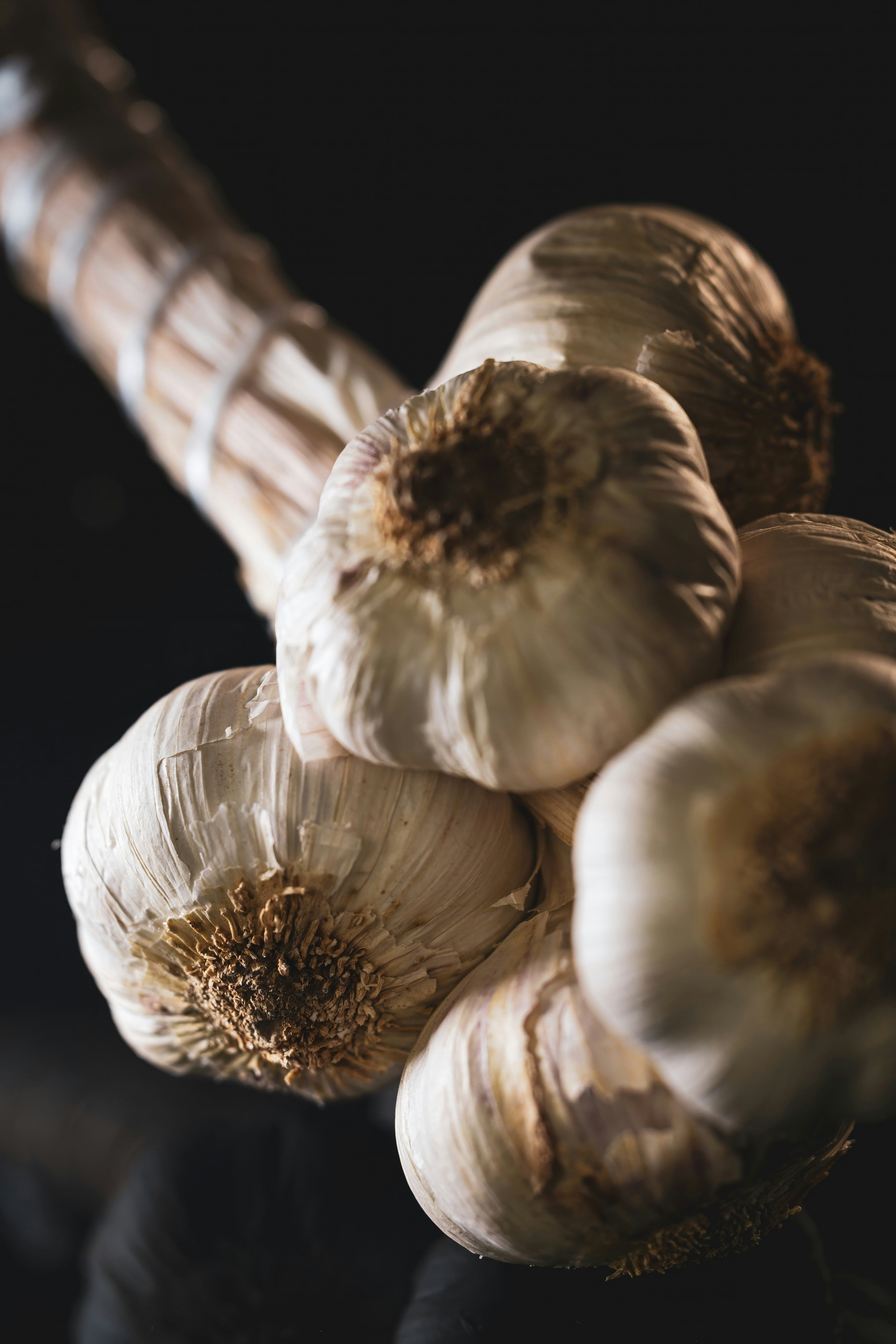 Close-up of a garlic braid on dark background — Music vs Ukrainian Red hardneck garlic