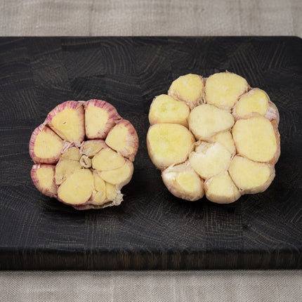 Southern Growers Duo – Donostia Red & Inchelium Red Seed Garlic