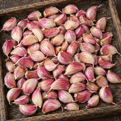 Collection image for: Seed Garlic