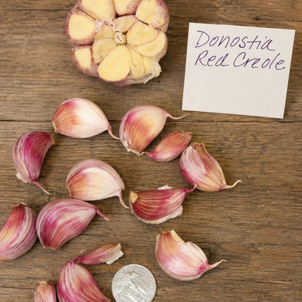 Donostia Red garlic bulb cross section and separated cloves showing red streaking