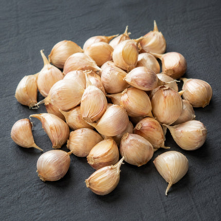 Lorz Italian garlic cloves, separated from the bulb and ready to plant, Earthwise Garlic