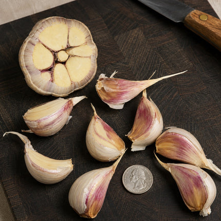 Music garlic bulb cross section and separated cloves next to a coin for scale