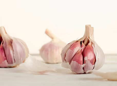 Donostia Red garlic bulb, Creole hardneck seed garlic, Earthwise Garlic