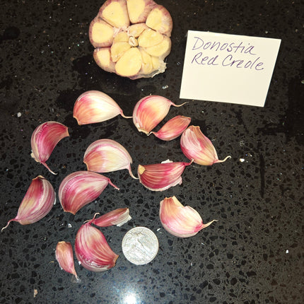 Donostia Red Creole garlic cloves scattered next to a coin for scale