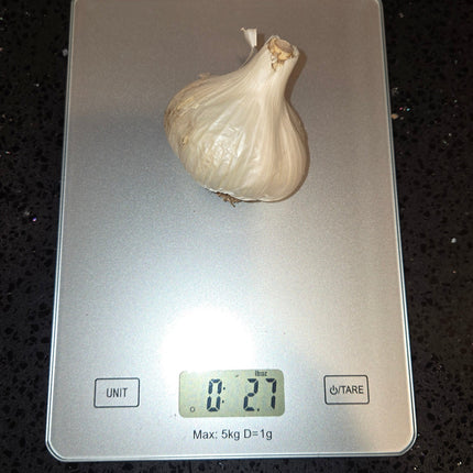 Music garlic bulb weighed on a kitchen scale